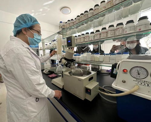 寧夏化妝品風靡俄羅斯市場，新型汽輪機研發與銷售齊頭并進